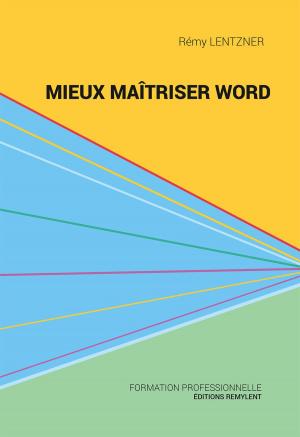 bigCover of the book Mieux maîtriser Word by 