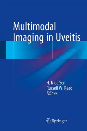 Cover of the book Multimodal Imaging in Uveitis by 