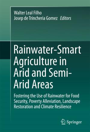Cover of the book Rainwater-Smart Agriculture in Arid and Semi-Arid Areas by Juan M. Martín-Sánchez, José Rodellar