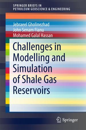 Cover of the book Challenges in Modelling and Simulation of Shale Gas Reservoirs by Dominique Bourn