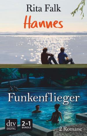 Book cover of Hannes - Funkenflieger