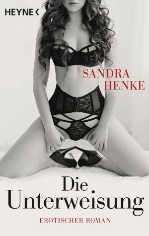 Cover of the book Die Unterweisung by Olivia Rae