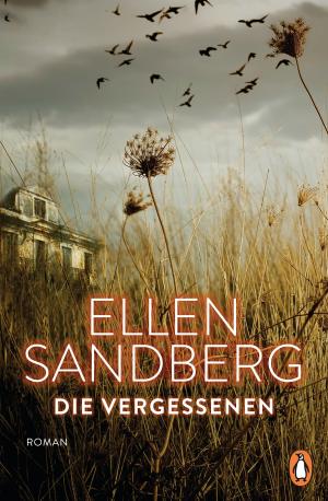 Book cover of Die Vergessenen