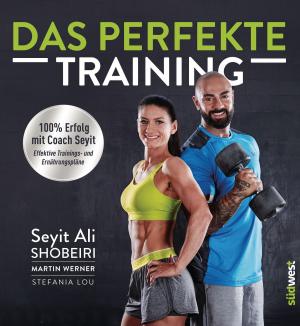 Cover of the book Das perfekte Training by Sabine Czerny
