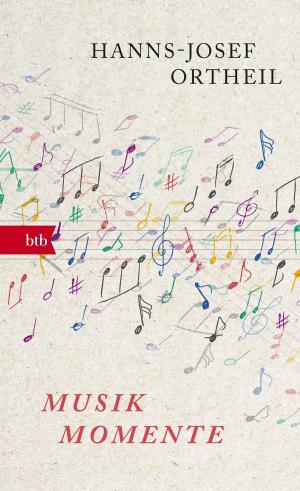 Cover of the book Musikmomente by Håkan Nesser