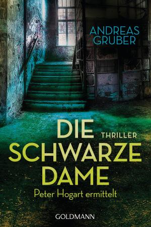 Cover of the book Die schwarze Dame by Erik Axl Sund