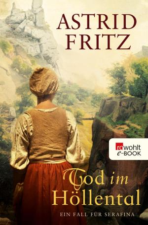 Cover of the book Tod im Höllental by Destiny Rose