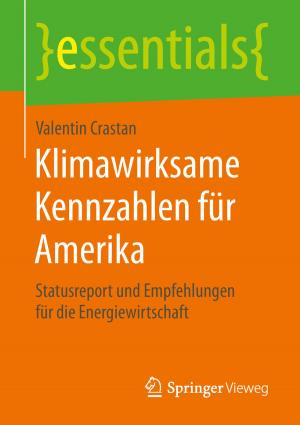 Cover of the book Klimawirksame Kennzahlen für Amerika by Harald Geißler