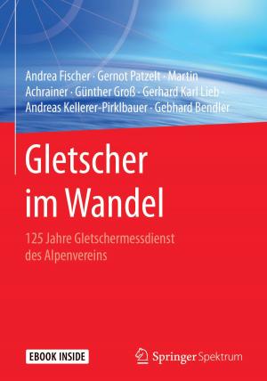 Book cover of Gletscher im Wandel