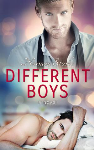 Cover of the book Different Boys by G. F. Unger