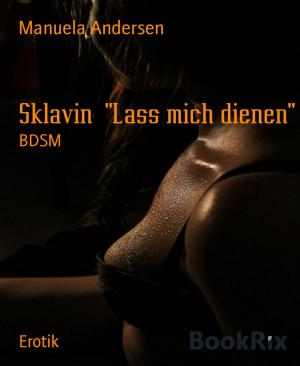 Book cover of Sklavin "Lass mich dienen"