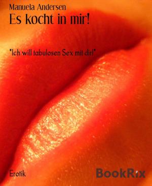 Cover of the book Es kocht in mir! by Erno Fischer