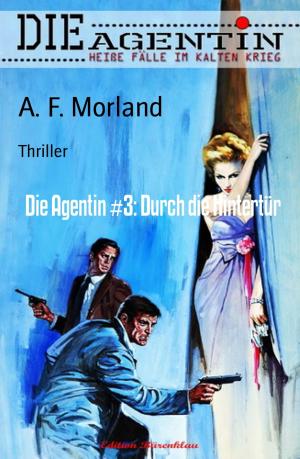 Cover of the book Die Agentin #3: Durch die Hintertür by Andrea Santucci