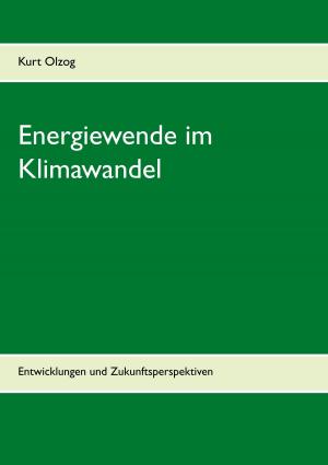 Cover of the book Energiewende im Klimawandel by Achim Köppen, Horst Burger