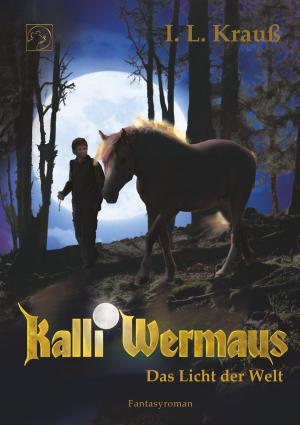 Cover of the book Kalli Wermaus by Yolanda King