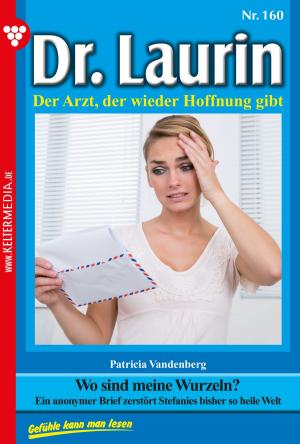 bigCover of the book Dr. Laurin 160 – Arztroman by 