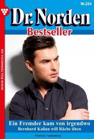 Cover of the book Dr. Norden Bestseller 254 – Arztroman by Marisa Frank
