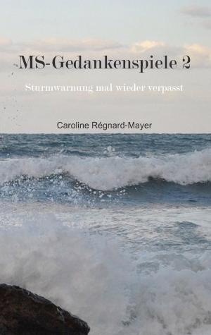 Cover of the book MS-Gedankenspiele 2 by Claudia J. Schulze, Anke Hartmann