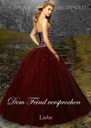 Cover of the book Dem Feind versprochen by Britta Kummer