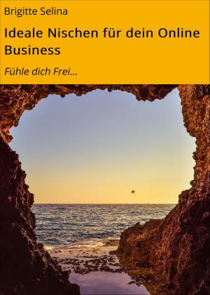 Cover of the book Ideale Nischen für dein Online Business by Alexander Arlandt