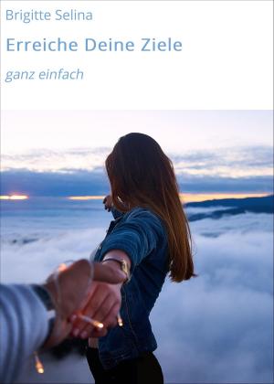 Cover of the book Erreiche Deine Ziele by Michael Bardon