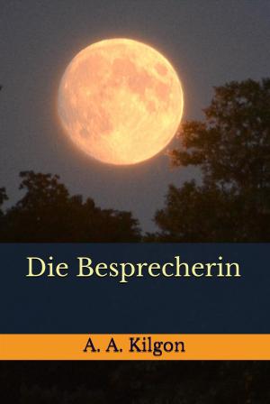 Cover of the book Die Besprecherin by Klaus Heitmann