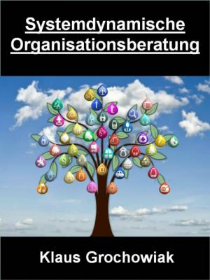 Cover of the book Systemdynamische Organisationsberatung by Christian Geiss