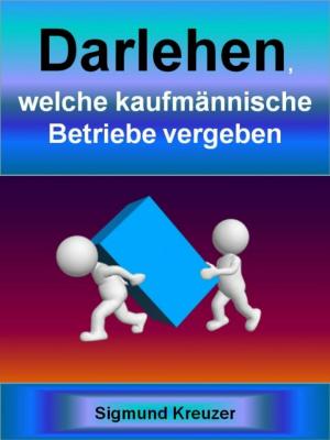 Cover of the book Darlehen, welche kaufmännische Betriebe vergeben by Kai Althoetmar