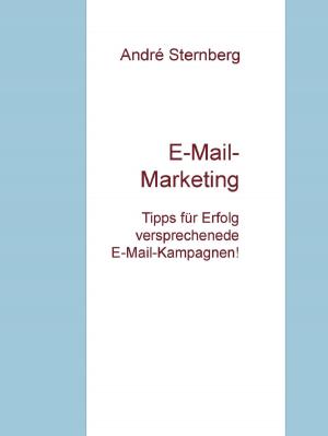 Cover of the book E-Mail-Marketing by Andre Sternberg