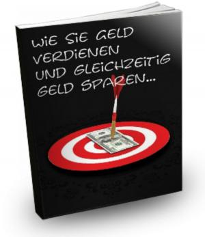 Cover of the book Wie Sie Geld verdienen und gleichzeitig sparen by Dr. Meinhard Mang