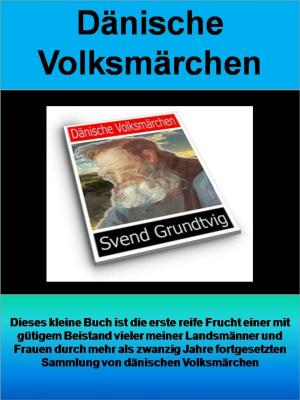 Cover of the book Dänische Volksmärchen - 299 Seiten by Jürgen Lang