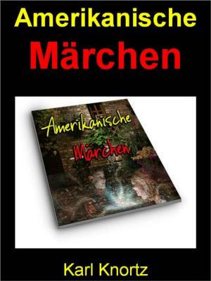 Book cover of Amerikanische Märchen auf 449 Seiten