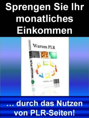 Cover of the book Sprengen Sie Ihr monatliches Einkommen by Josephine Jager