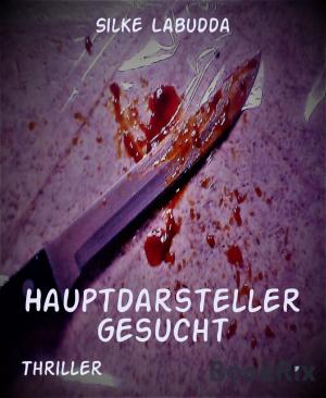 Cover of the book Hauptdarsteller gesucht by Mattis Lundqvist