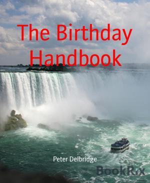 Cover of the book The Birthday Handbook by Hentai Jones