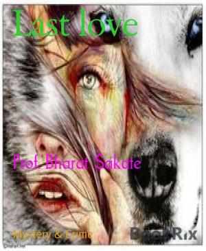 Cover of the book Last love by B.A. Landtroop