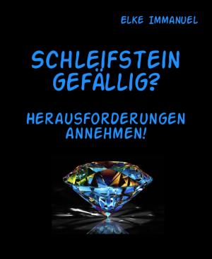 Cover of the book Schleifstein gefällig? by Rittik Chandra