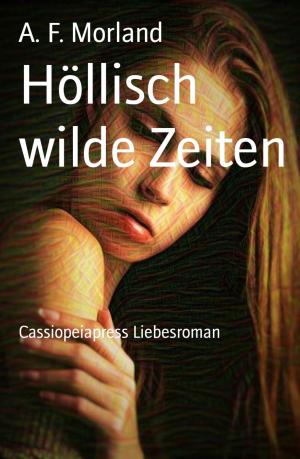 Cover of the book Höllisch wilde Zeiten by Kelly Montague