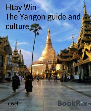 Book cover of The Yangon guide and culture
