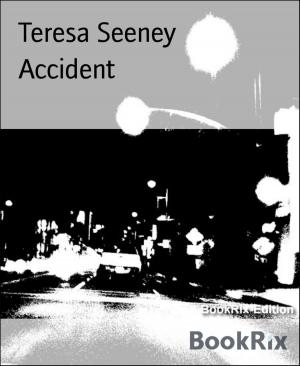 Cover of the book Accident by Todd Hicks