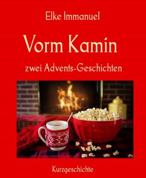Book cover of Vorm Kamin