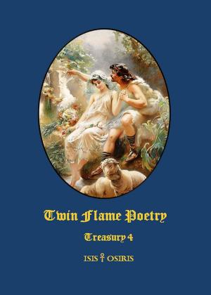 bigCover of the book Twin Flame Poetry by 