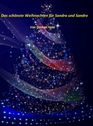 Cover of the book Das schönste Weihnachten für Sandra und Sandro by Washington Irving