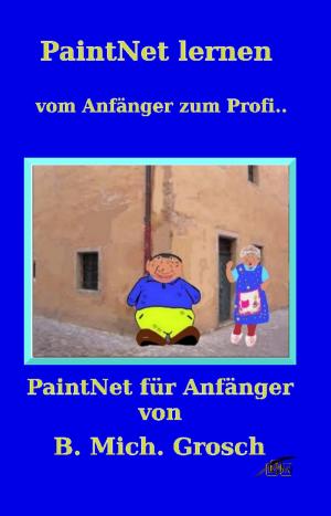 Book cover of PaintNet lernen