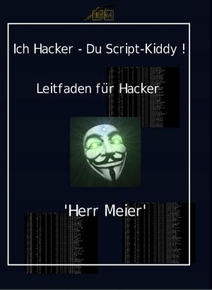 Cover of the book Ich Hacker – Du Script-Kiddy by Verena Grüneweg