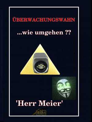 Cover of the book Überwachungswahn by Helmut Höfling