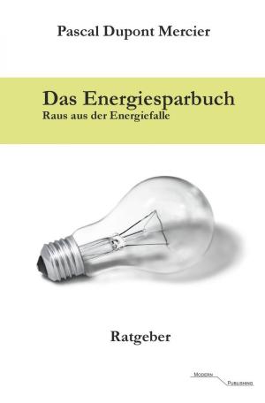 Cover of the book Das Energiesparbuch by Dominik Meurer