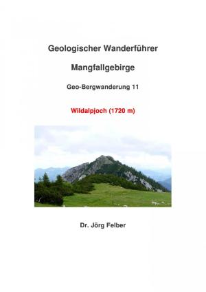 Cover of the book Geo-Bergwanderung 11 Wildalpjoch (1720 m) by Peter Wimmer