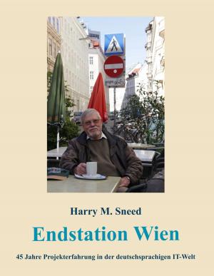Cover of the book Endstation Wien by Sandra Schön, Martin Ebner