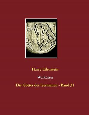 Cover of the book Walküren by Verena Lechner